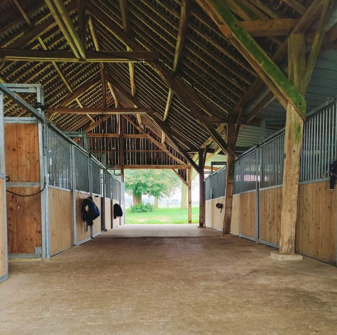Horse training