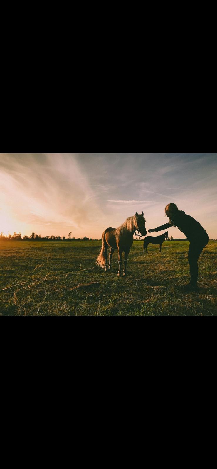 Manage Herds Smarter